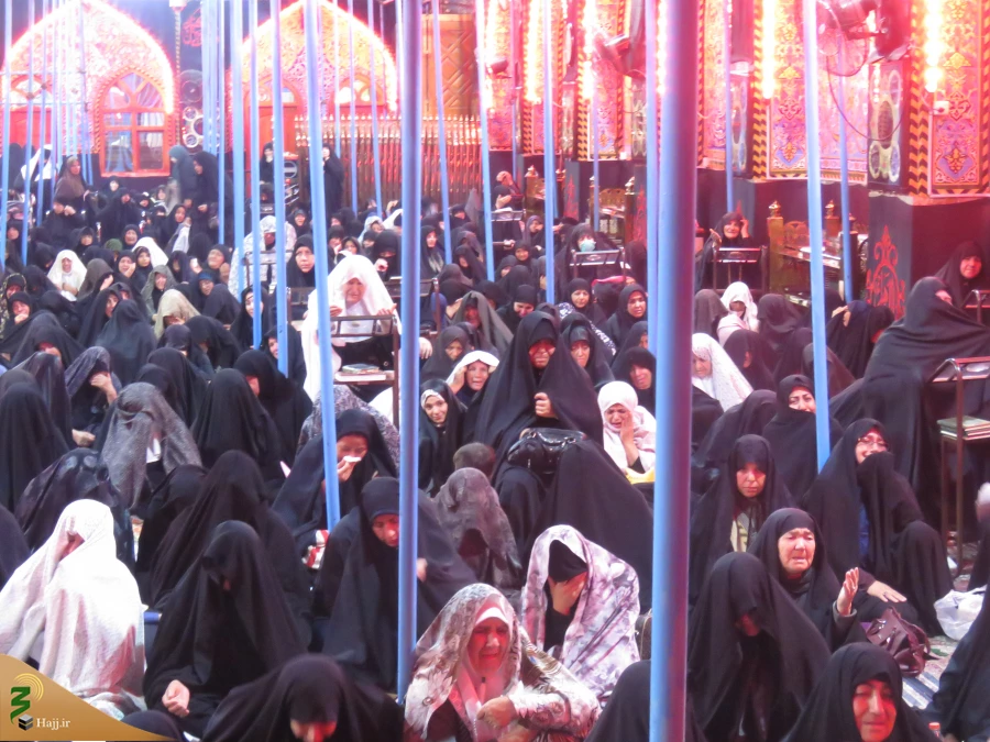 دست دعا و چشم امید زائران حسینی در آخرین دعای کمیل ماه صفر

گزارش تصویری: دعای کمیل در خیمه گاه حسینی 7