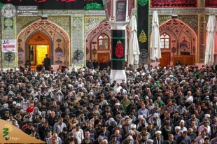 جلوه ای زیبا از نماز جماعت در حرم حضرت امیرالمومنین (علیه السلام)+ تصاویر  9