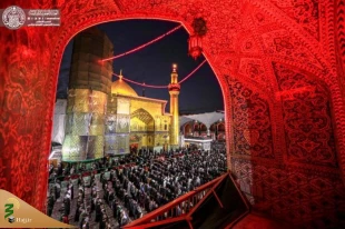 جلوه ای زیبا از نماز جماعت در حرم حضرت امیرالمومنین (علیه السلام)+ تصاویر  14