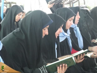 گزارش تصویری دعای کمیل در خیمه گاه حسینی

 2