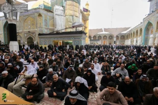 عزاداری زائران حرم امیرالمومنین(ع) در شهادت امام حسن عسکری(ع)+تصاویر 5