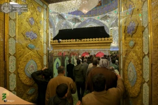عزاداری زائران حرم امیرالمومنین(ع) در شهادت امام حسن عسکری(ع)+تصاویر 10