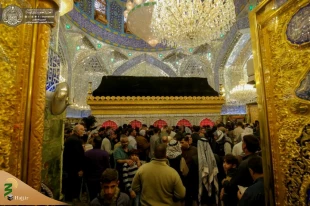 عزاداری زائران حرم امیرالمومنین(ع) در شهادت امام حسن عسکری(ع)+تصاویر 11
