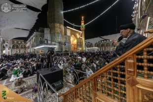 عزاداری زائران حرم امیرالمومنین(ع) در شهادت امام حسن عسکری(ع)+تصاویر 15