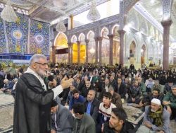 جشن آغاز امامت حضرت مهدی(عج) در حرم سیدالشهداء(ع)+ تصویر 8