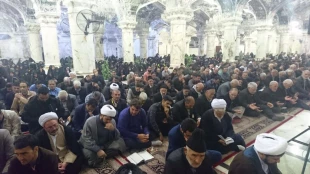 نوای دعای کمیل درحرم مطهر علی بن ابی طالب طنین انداز شد 13