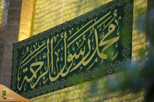 ​​​​​​​حرم حضرت اباالفضل العباس(ع) غرق در سرور و شادی شد+ تصاویر  13