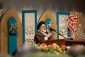 نقش مردم وبسیج در جامعه نباید کم رنگ شود 7