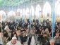 نوای عاشقانه یابن الحسن کجایی در خیمه گاه حسینی 4