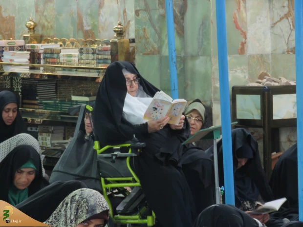 زمزمه عارفانه دعای روح بخش کمیل در عتبات عالیات 10