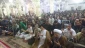 مسئول دفتر نمایندگی بعثه مقام معظم رهبری در نجف اشرف:

مغفرت الهی برای کسانی است که به درگاه الهی استغفار کنند  14