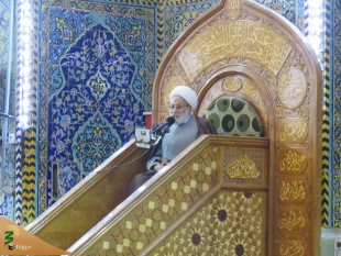 سخنران بعثه رهبری در کربلا:

 شیعه امام حسین(ع) هم شفاعت می شودهم شفاعت می کند 3