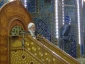 سخنران بعثه رهبری در کربلا:

عبادت باید انسان را به عبودیت و بندگی برساند 3