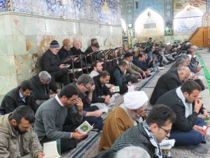 دعای ندبه زائران ایرانی در کربلا