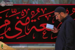 حرم حضرت امیرالمؤمنین(ع) خود را برای فاطمیه اول آماده می کند 7