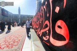 حرم حضرت امیرالمؤمنین(ع) خود را برای فاطمیه اول آماده می کند 8