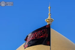 حرم حضرت امیرالمؤمنین(ع) خود را برای فاطمیه اول آماده می کند 16