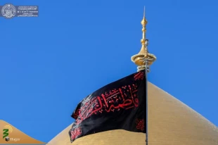 حرم حضرت امیرالمؤمنین(ع) خود را برای فاطمیه اول آماده می کند 16