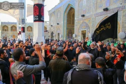 مراسم عزاداری فاطمیه اول در حرم امیرالمؤمنین (ع) برگزار شد+تصاویر  15