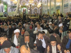 خطیب بعثه رهبری در کربلا: بر زمینت می زند نادان 
نقش دوست در ساختار شخصیت انسانی 7
