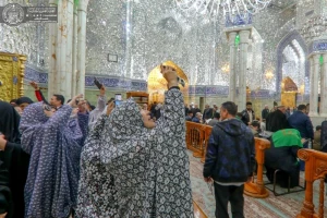 پژوهشگران کاتولیک به زیارت حرم امیرالمؤمنین(ع) مشرف شدند+تصاویر 