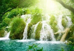 آبادی زمین و نزول برکات در عصر ظهور 2