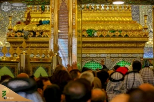 گرمای معنوی حرم امیرالمؤمنین(ع) در روزهای سرد زمستان +تصاویر  9