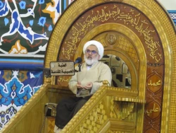 خطیب بعثه رهبری درکربلا :پیروی ازسیره امام حسین سعادت بخش است. 2