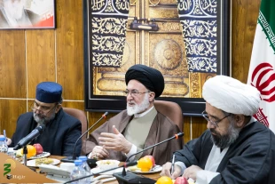 دیدارهیئتی ازعلما و شخصیت های دانشگاهی پاکستان با سرپرست حجاج ایرانی 3