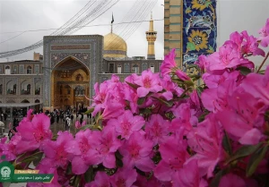 حضور زیارت اولی‌ها در حرم رضوی دستاورد آستان قدس است