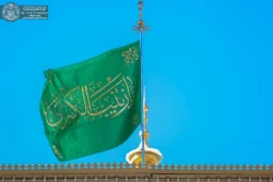 تصاویری ازحضور میلیونی زائرین در حرم امیرالمؤمنین(ع) 4