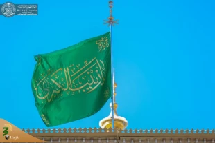 تصاویری ازحضور میلیونی زائرین در حرم امیرالمؤمنین(ع) 4