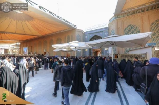 تصاویری ازحضور میلیونی زائرین در حرم امیرالمؤمنین(ع) 9