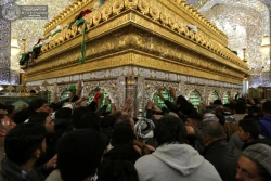 تصاویری ازحضور میلیونی زائرین در حرم امیرالمؤمنین(ع) 10