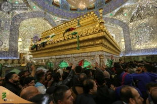 تصاویری ازحضور میلیونی زائرین در حرم امیرالمؤمنین(ع) 11