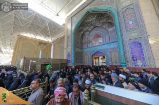 تصاویری ازحضور میلیونی زائرین در حرم امیرالمؤمنین(ع) 13