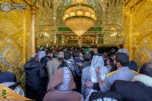 تصاویری ازحضور میلیونی زائرین در حرم امیرالمؤمنین(ع) 15