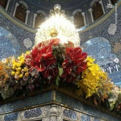 گل آرایی حرم مطهر حضرت زینب(س) 14