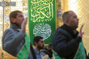 به مناسبت میلاد حضرت زینب(س)؛ 

حرم حضرت امیرالمؤمنین (ع) غرق در سرور و شادی شد+ تصاویر  5