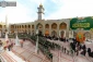 به مناسبت میلاد حضرت زینب(س)؛ 

حرم حضرت امیرالمؤمنین (ع) غرق در سرور و شادی شد+ تصاویر  8