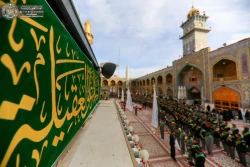 به مناسبت میلاد حضرت زینب(س)؛ 

حرم حضرت امیرالمؤمنین (ع) غرق در سرور و شادی شد+ تصاویر  15
