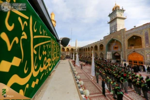 به مناسبت میلاد حضرت زینب(س)؛ 

حرم حضرت امیرالمؤمنین (ع) غرق در سرور و شادی شد+ تصاویر  15