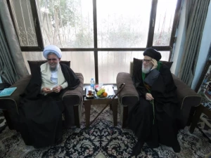 آیت الله قزوینی: آمریکا دوباره از جمهوری اسلامی ایران سیلی خواهد خورد