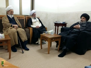 دیدار نماینده بعثه مقام معظم رهبری در عراق با آیت الله سید محمد تقی مدرسی