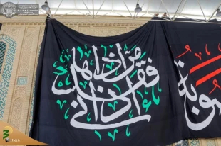 حرم امیرالمؤمنین(ع) در عزای شهادت حضرت زهرا(س) سیاهپوش شد 2