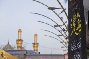 حرم حضرت اباالفضل العباس(ع) در فاطمیه به سوگ نشست 8
