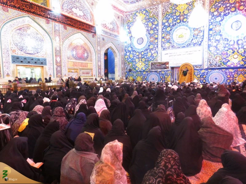 خطیب بعثه رهبری در کربلای معلا 
فاطمه زهرا ، منتها درجه عصمت است 6