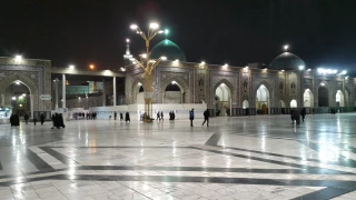 چهارشنبه روز زیارت آقای مهربانی هاست، برای دیدن حرمت لحظه شماری می کنم - فیلم