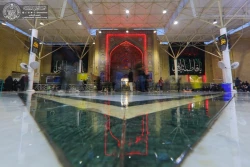بارش باران جلوه ویژه ای به حرم امیرالمؤمنین(ع) بخشید+تصاویر 3
