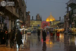 بارش باران جلوه ویژه ای به حرم امیرالمؤمنین(ع) بخشید+تصاویر 5